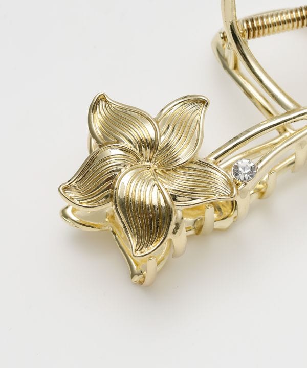 �v�A���w�A�N���b�v