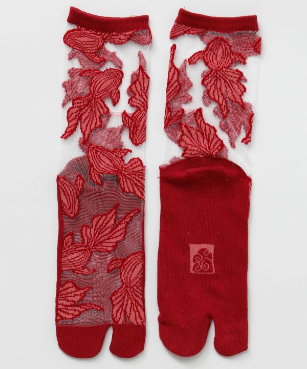 �a���_���������܁i23-25cm�j