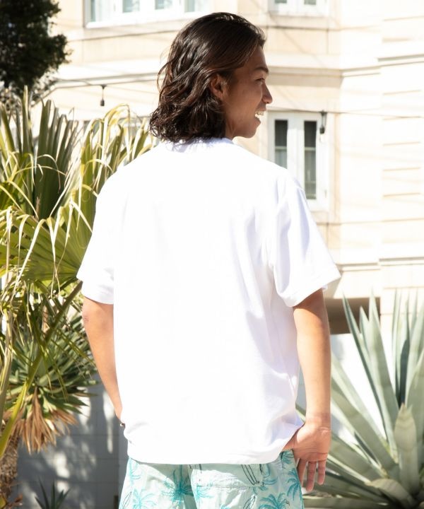 �A�J�������Y�s�V���c