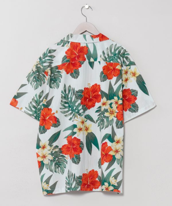 �n�J���E�����Y�V���c