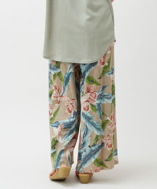 �n�J���E�p���c