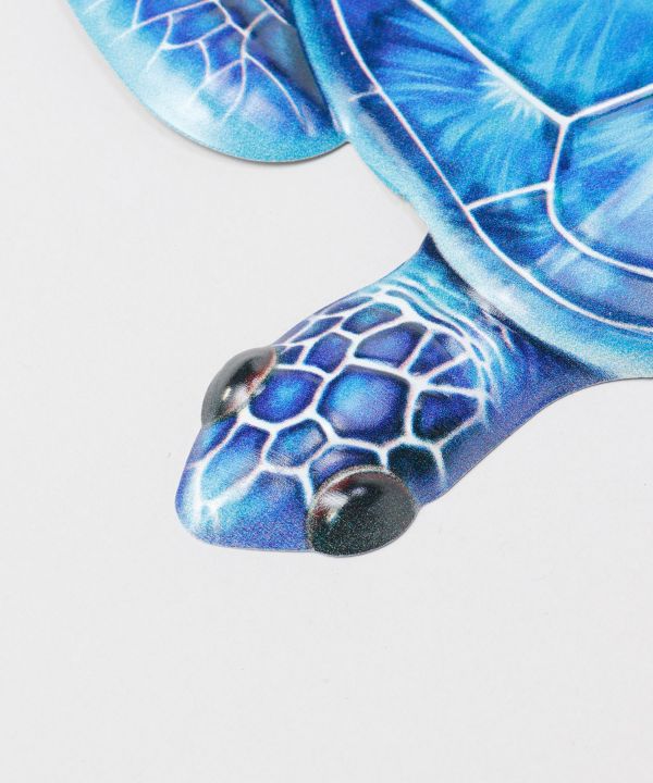 �J�C�z�k�n���M���O�k