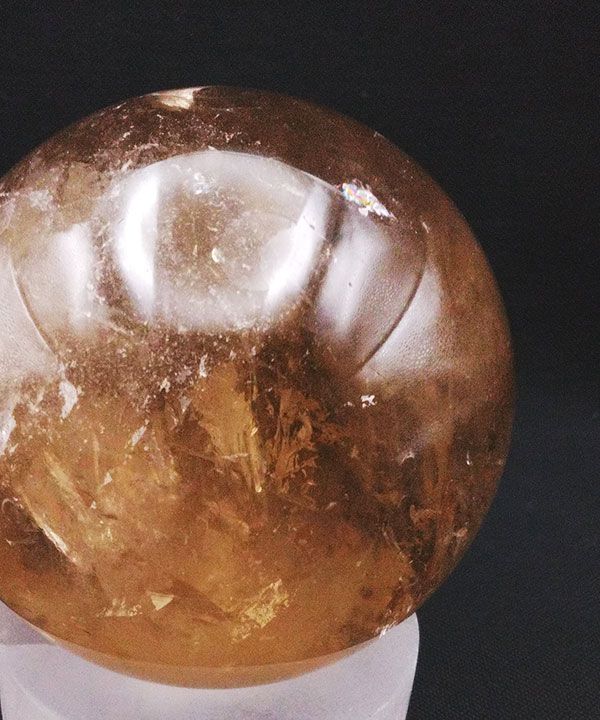 �y��_���z�V�R�V�g�����ۋ�