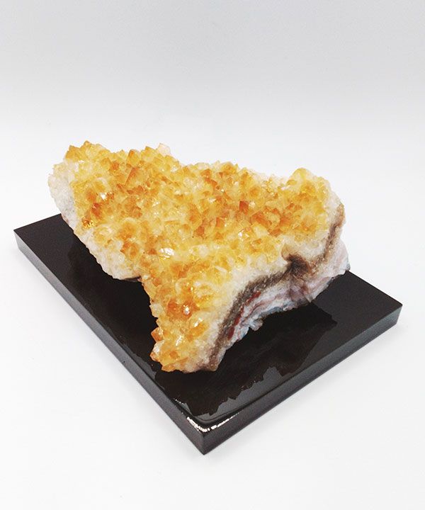 �y��_���z�V�g�����N���X�^�[327g