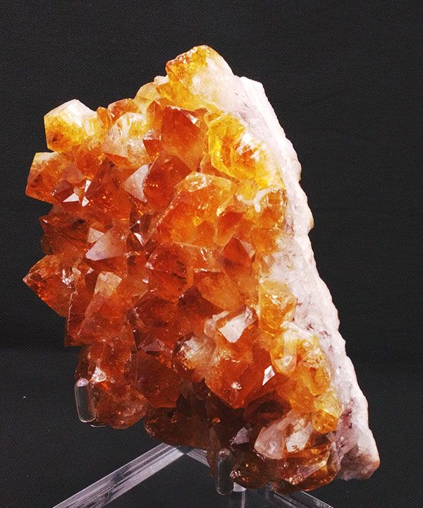 �y��_���z�V�g�����N���X�^�[506g