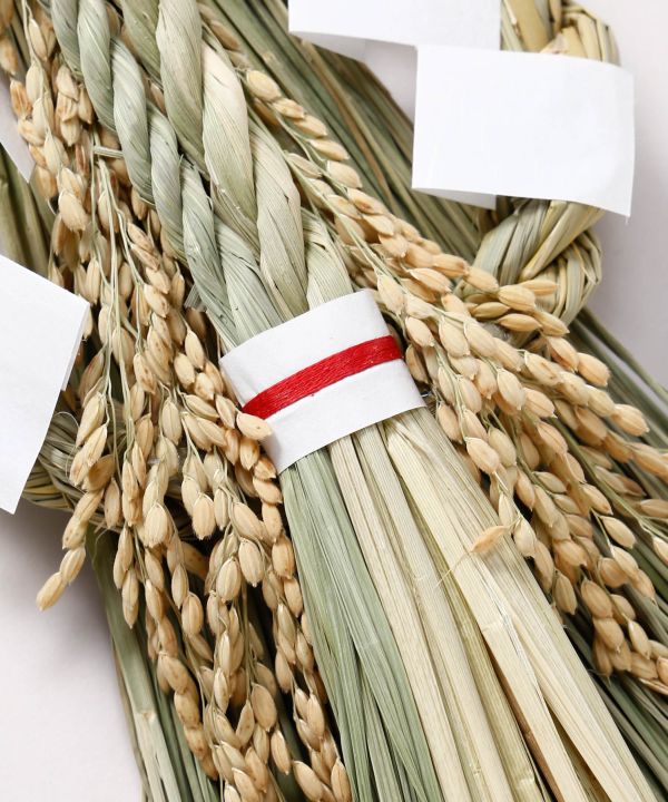 �y��������z�V�������Y ���蕗��
