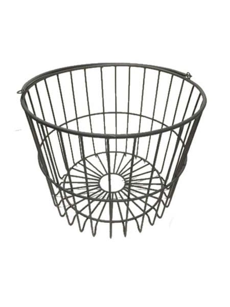 �A�C�A���o�X�P�b�g