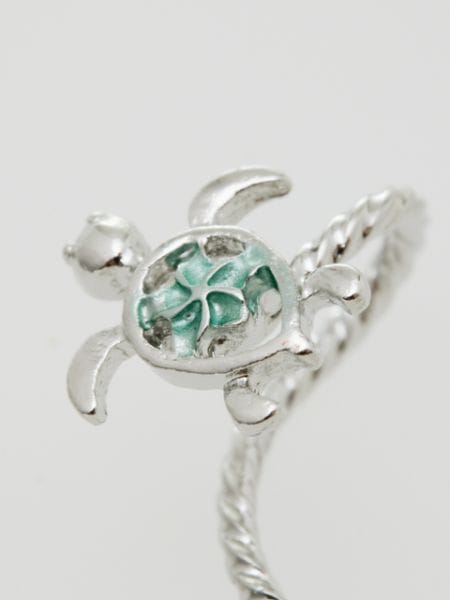 �z�k�t���C���[�N���b�v