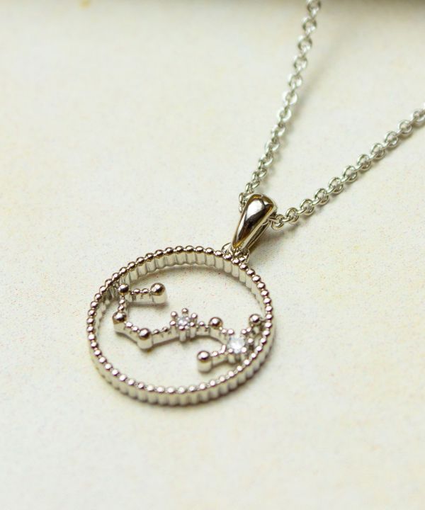 �T�[�N���T�C���V���o�[�l�b�N���X