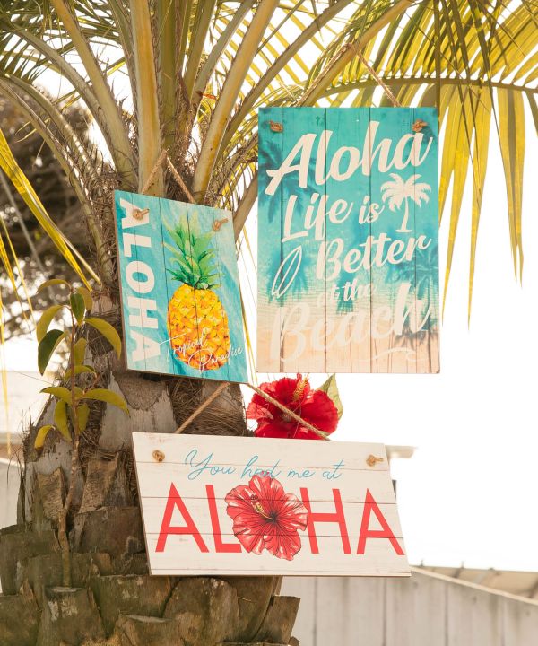 Amazon.com: E Komo Mai Hawaii Sign - 12-inch Circle : Home