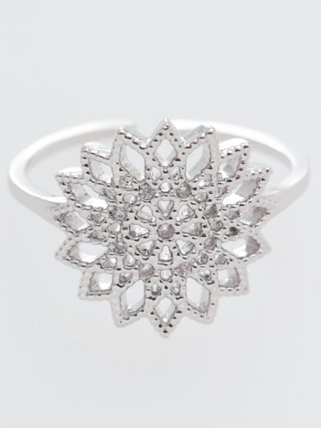 �T�[�N�����`�[�t�X�J�V�����O