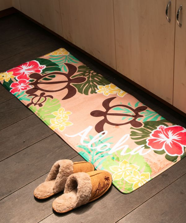 �R�N�A�L�t���A�l�`�s�i�P�Q�O�����j