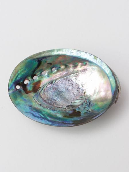 浄化 孔雀貝プレート Abarone Shell 岩座 いわくら 公式通販