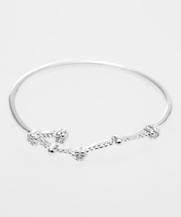 �Z�C�U�����O