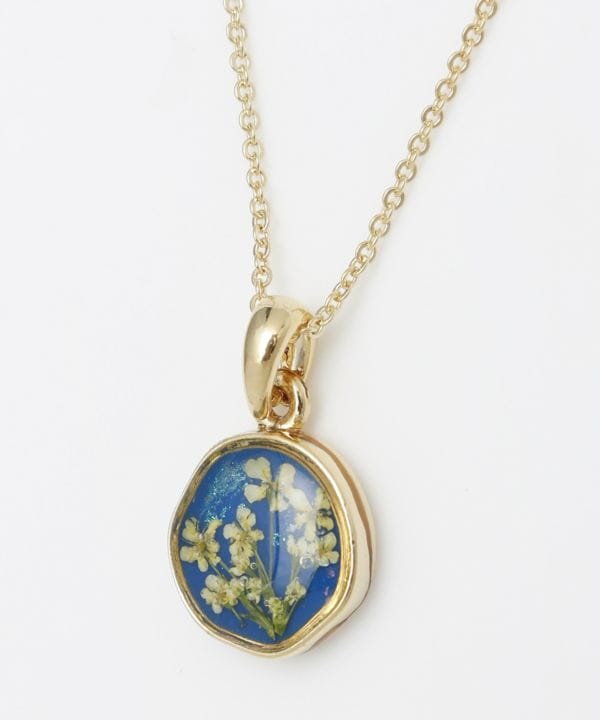 �z�E�Z�X�l�b�N���X