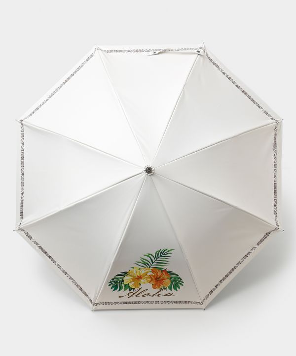 �y�Ռ���99.99%�ȏ�z�P�n�E���j�P�i���J���p�j