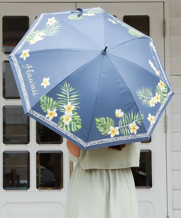 �y�Ռ���99.99%�ȏ�z�P�n�E���j�P�i���J���p�j