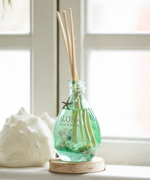 �v�v�i���f�B�t���[�U�[