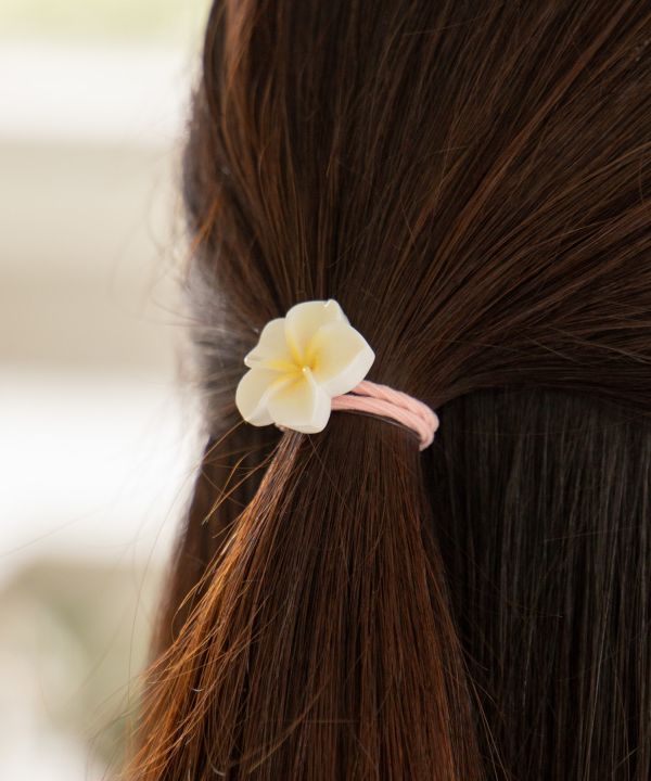 �v�A�v�����Z�b�g�w�A�S��