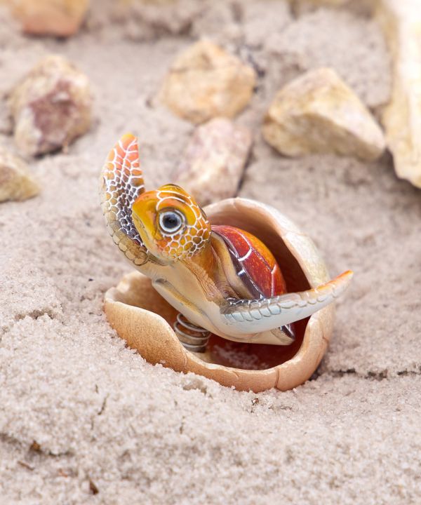 �n�b�`���O�z�k�t�B�M���A �l