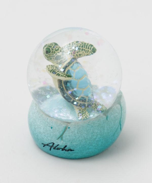 �X�C���z�k�X�m�[�h�[���r