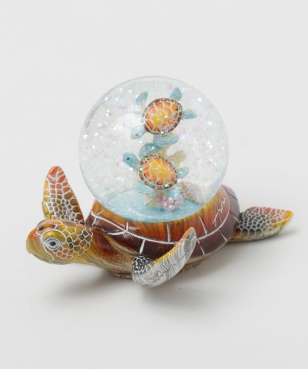 �X�C���z�k�X�m�[�h�[���l