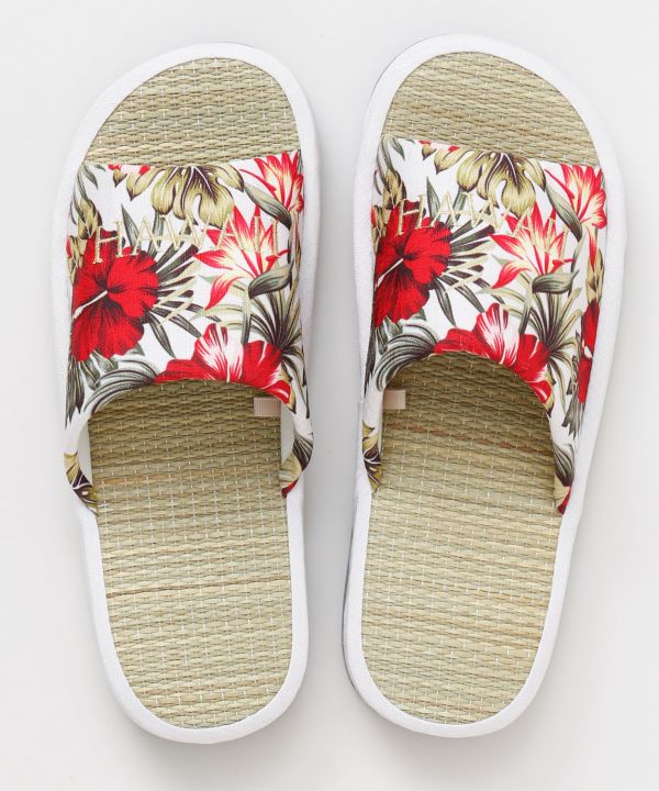 �P�C�n���C�X���b�p