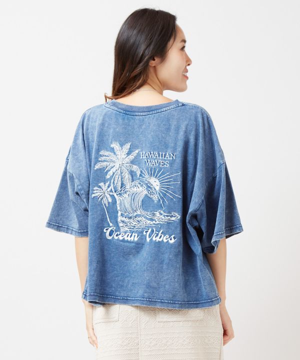 �P�I�LT�V���c�ySURF&Palms�z