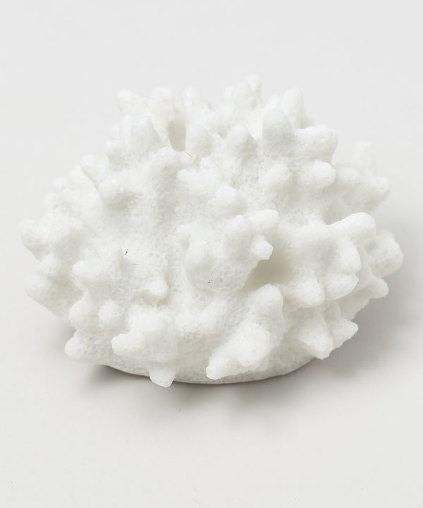 ���m�R�[���������v �r