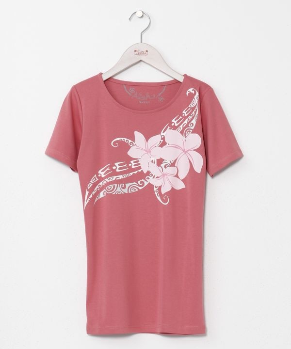 �J���w�I�t��T�V���c