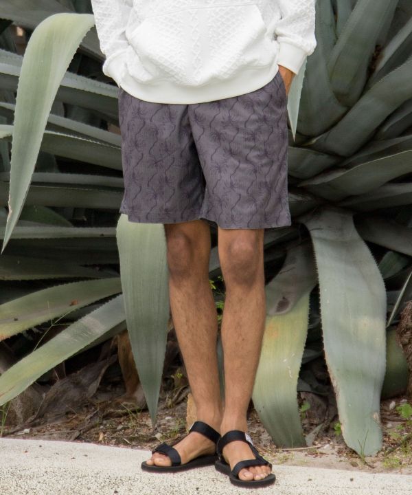 �A���_�[�Z�������Y�n�[�t�p���c�ySURF&Palms�z