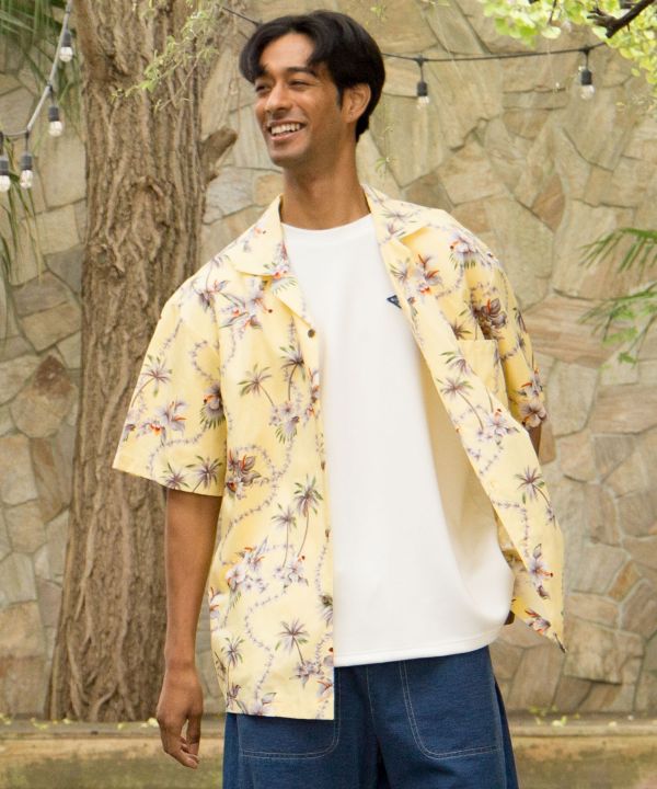 �s�n���C���A���t�n�C�r�p�[���A���n�����Y�V���c