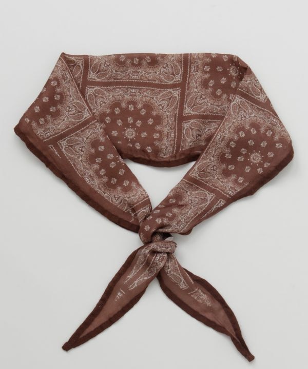 �o���f�B�X�g�[��