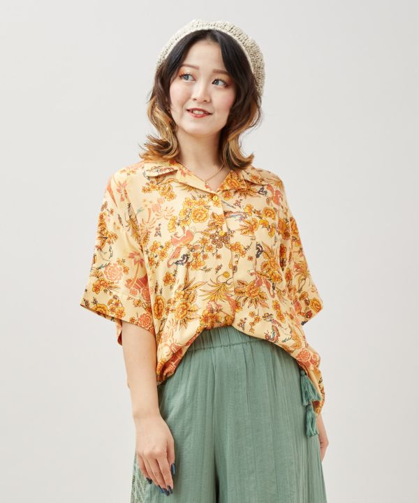 �{�w�N�����J�݃V���c