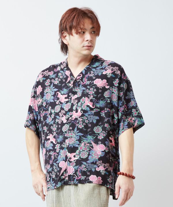 �{�w�N���������Y�V���c