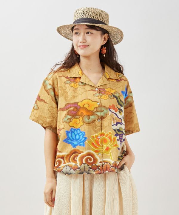 �p�^���J�V���c