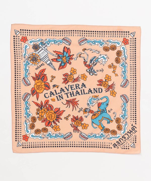 �{�w�N�����o���_�i