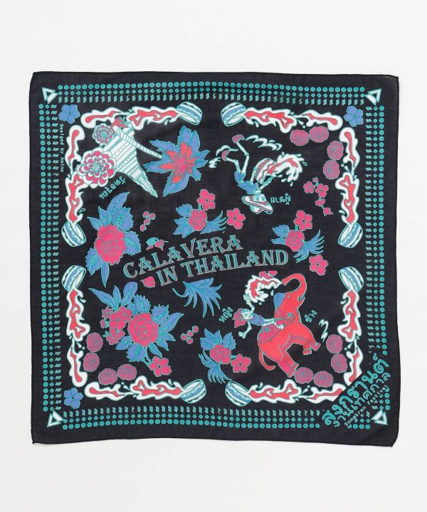 �{�w�N�����o���_�i