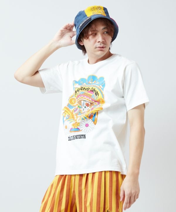 �q�s�x�������YT�V���c�yAmina×grn�z