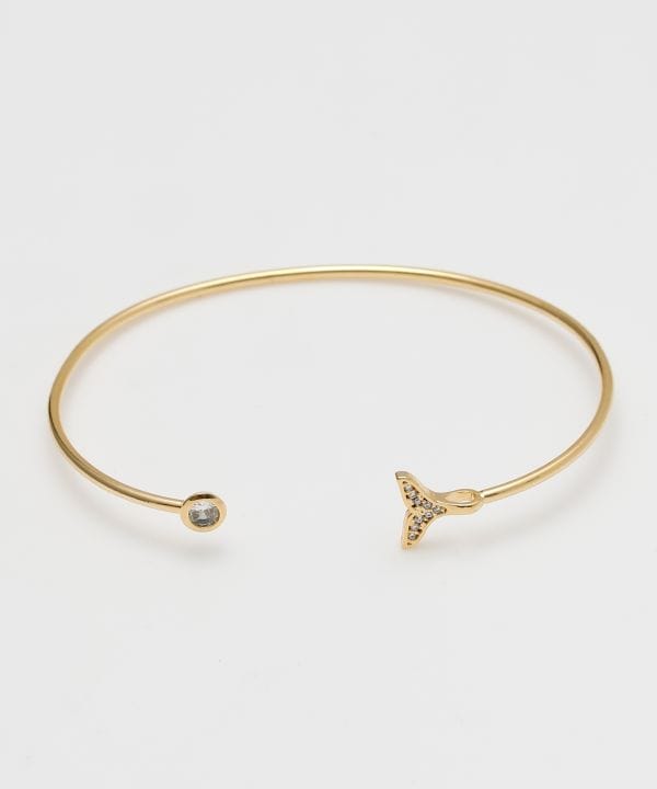 �J�C�z�G�[���o���O��