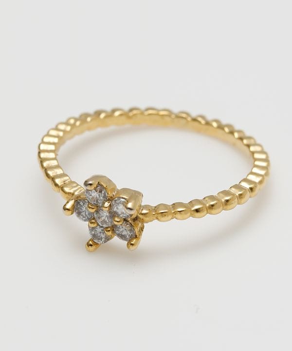 �z�N�s���L�[�����O