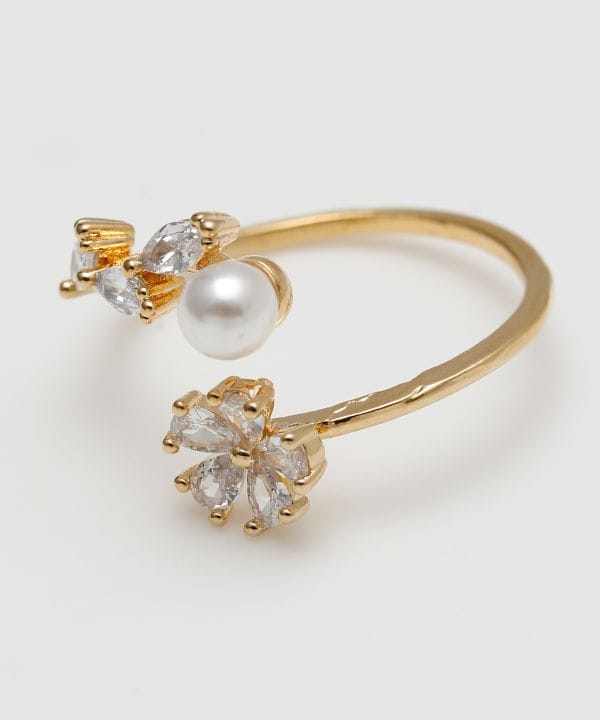 �v�A�q�i�����O