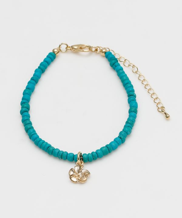 �v�A�r�[�Y�u���X