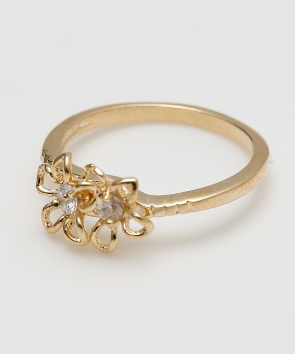 �v�A�v�A�����O