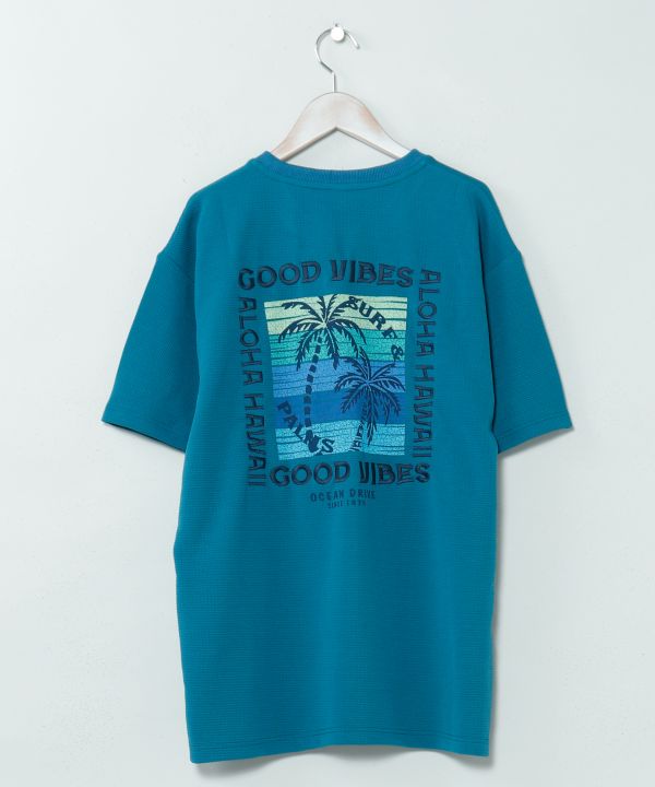 �J�n���E�����Y�s�V���c�ySURF&Palms�z