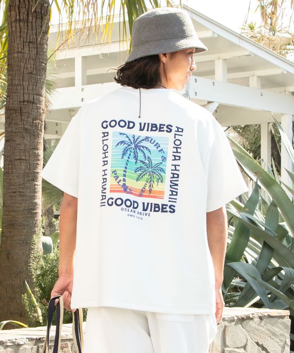 �J�n���E�����Y�s�V���c�ySURF&Palms�z