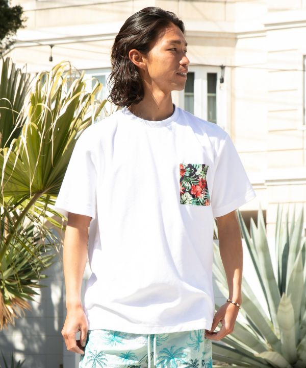 �A�J�������Y�s�V���c