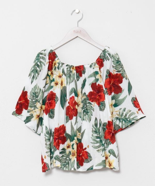 �n�J���E�s�n�o