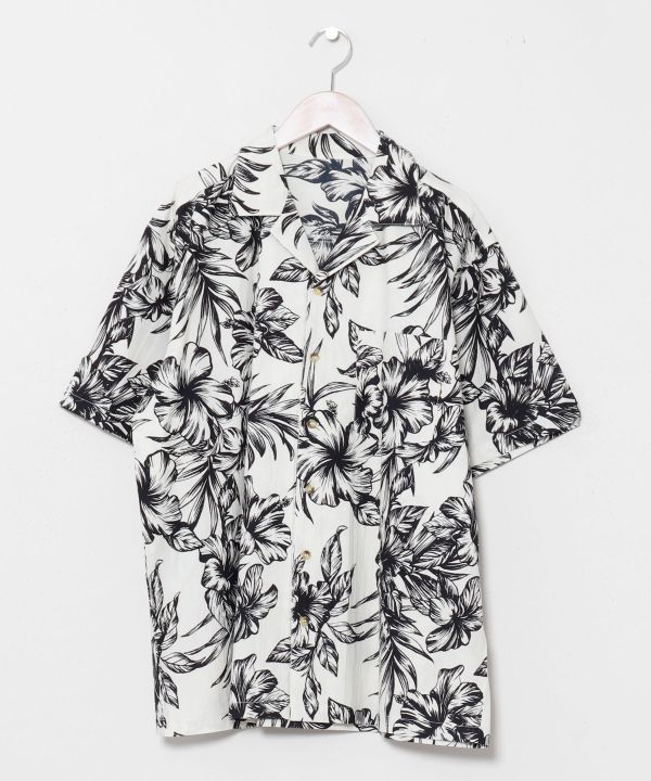 �n�J���E�����Y�V���c