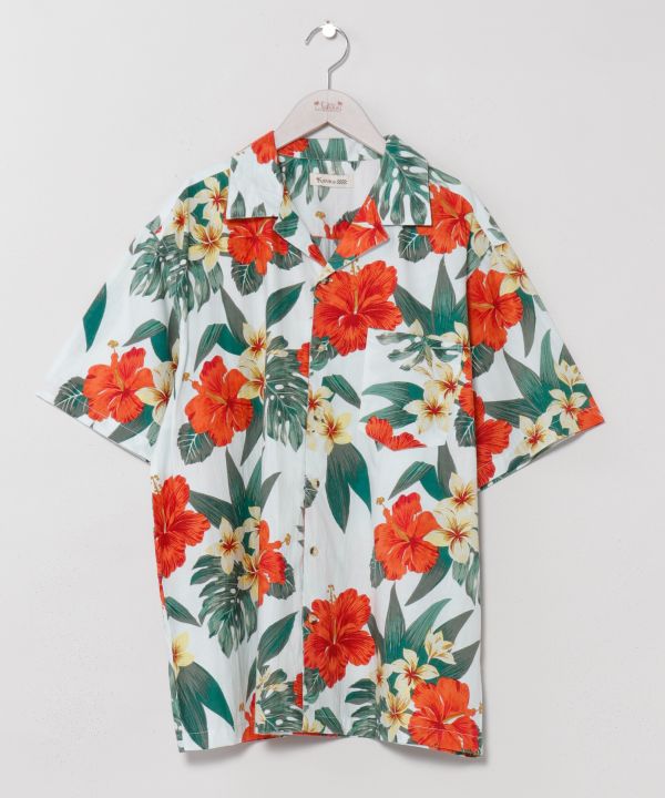 �n�J���E�����Y�V���c